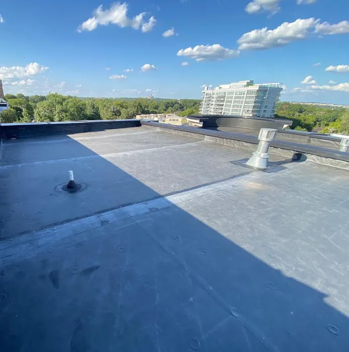 Reston Roof Picture 2
