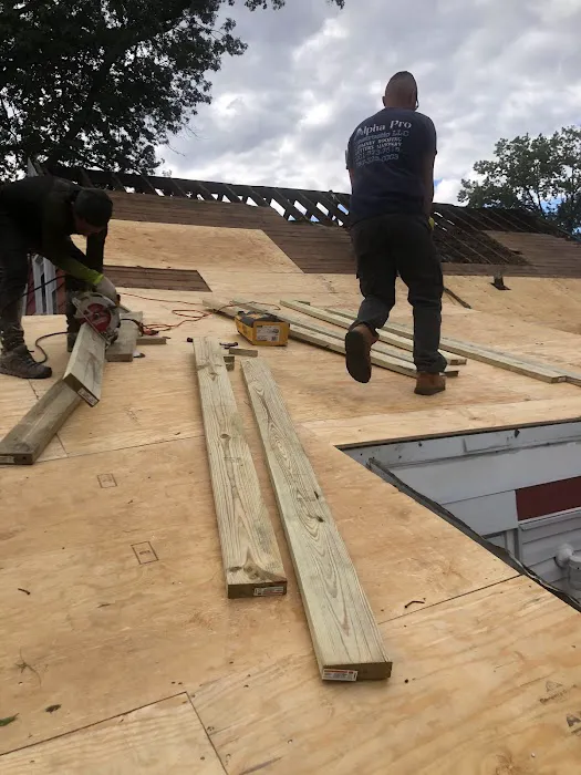 Alpha Pro Construction Picture 8