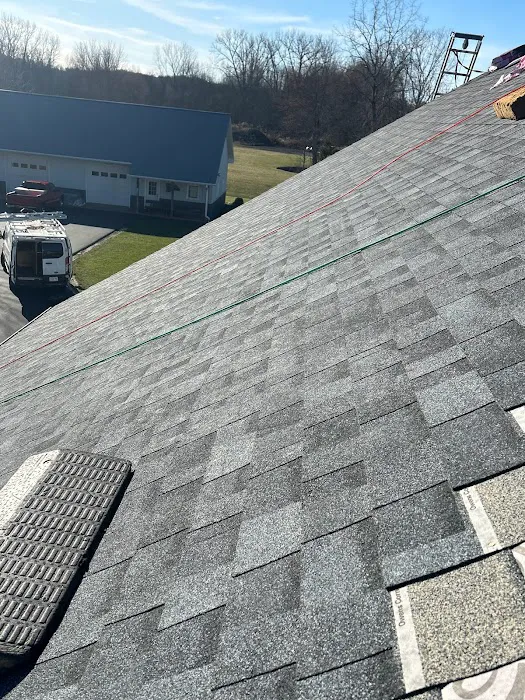 The Roofing King Picture 6