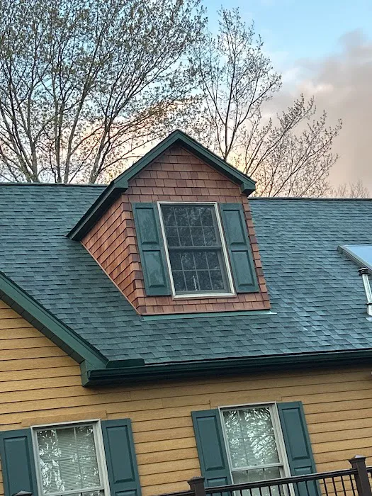 The Roofing King Picture 9