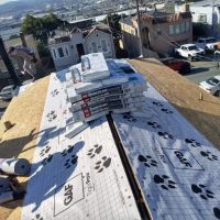 Elder Roofers ico