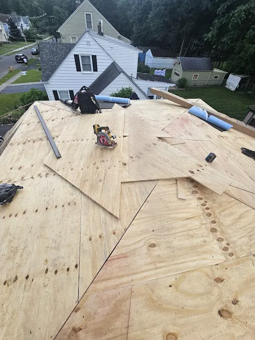 The Roofing Medic Picture 3