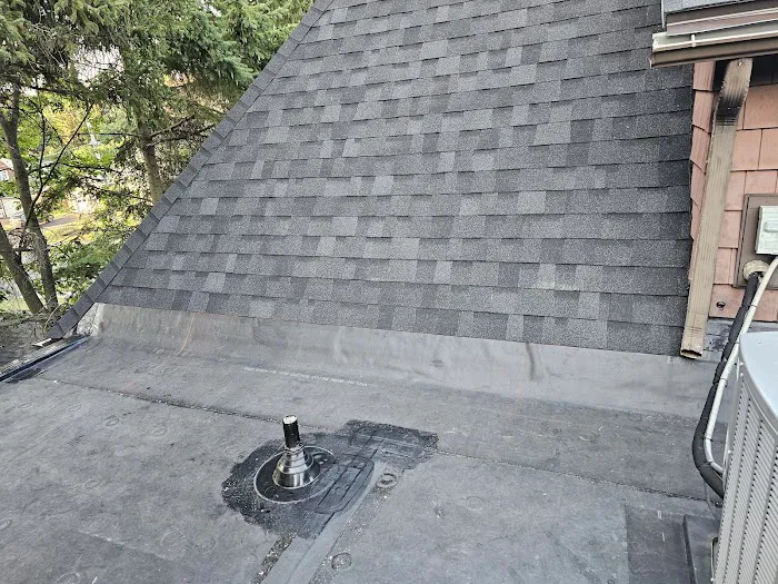 The Roofing Medic Picture 5