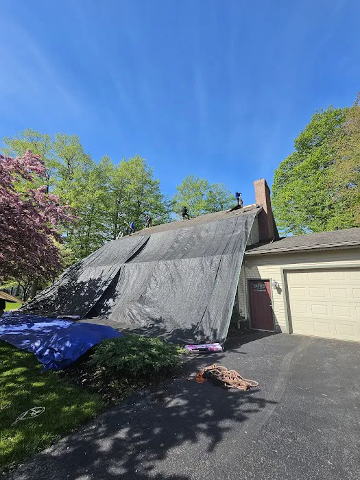 The Roofing Medic Picture 6