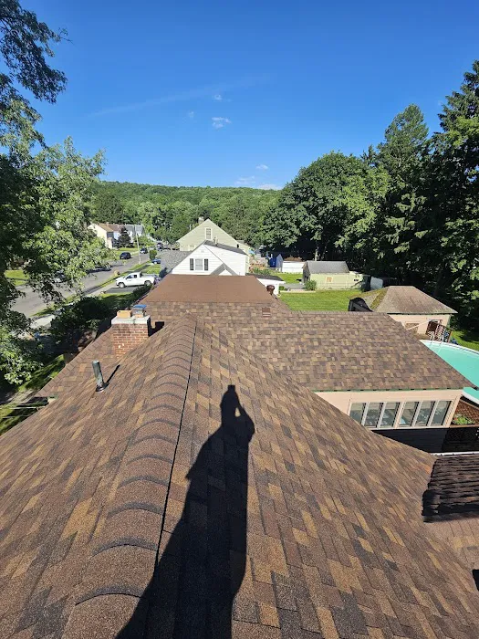 The Roofing Medic Picture 4