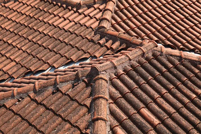 123 Sparta Roof Repair Picture 4
