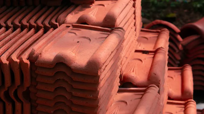 123 Sparta Roof Repair Picture 3