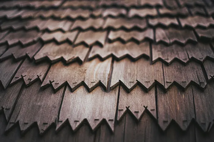123 Sparta Roof Repair Picture 5