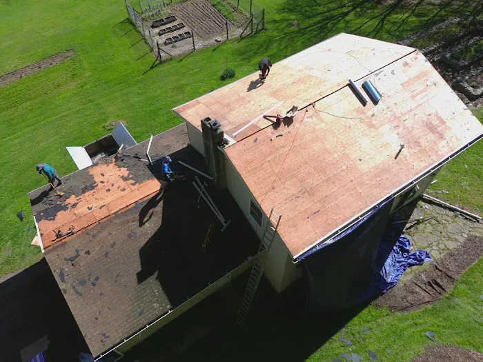 Perez Performance Roofing Picture 8
