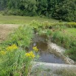 Pro X Window and Door