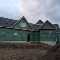 True Cut Construction ico