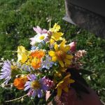 Clayson Construction