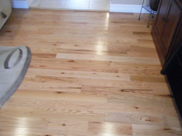 Reiner Remodeling Picture 9
