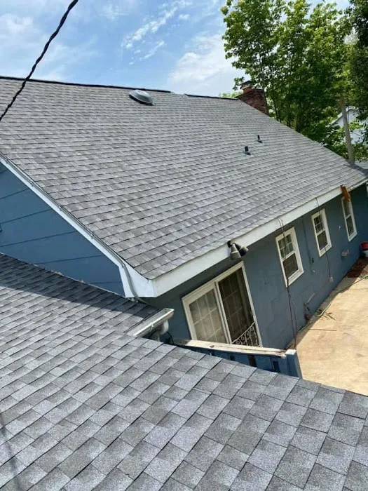 Lion Roofing Picture 2