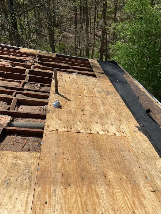Lion Roofing Picture 4