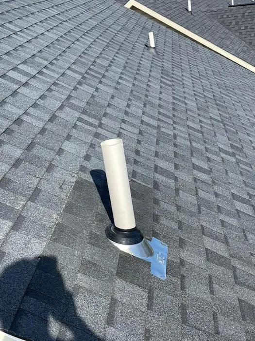Lion Roofing Picture 9