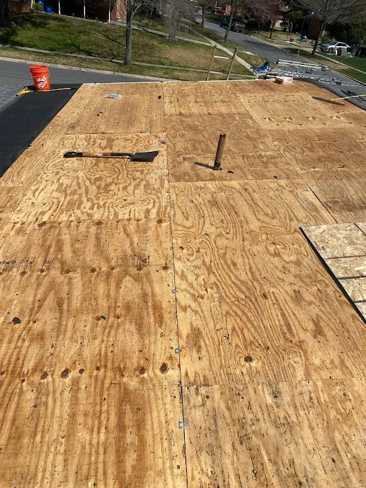 Lion Roofing Picture 10