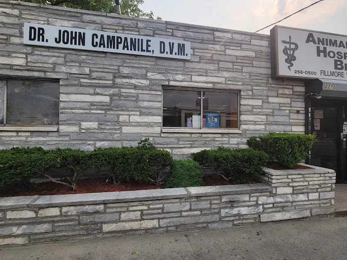 Top Down Restoration | Roofing, Masonry & Exterior Picture 6