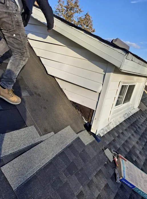 1st Amazon Roofing Picture 5