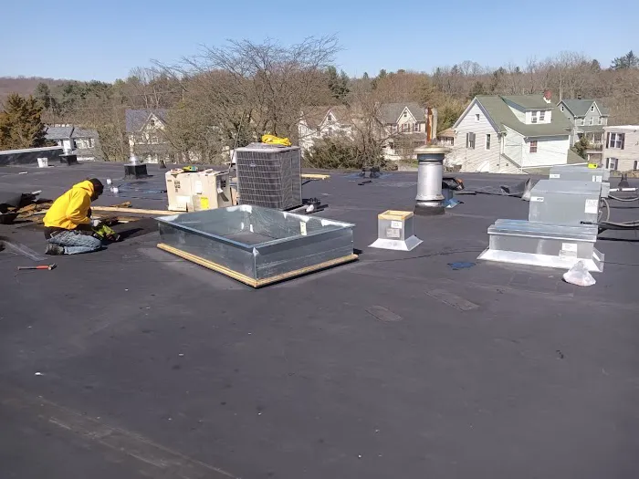 1st Amazon Roofing Picture 10