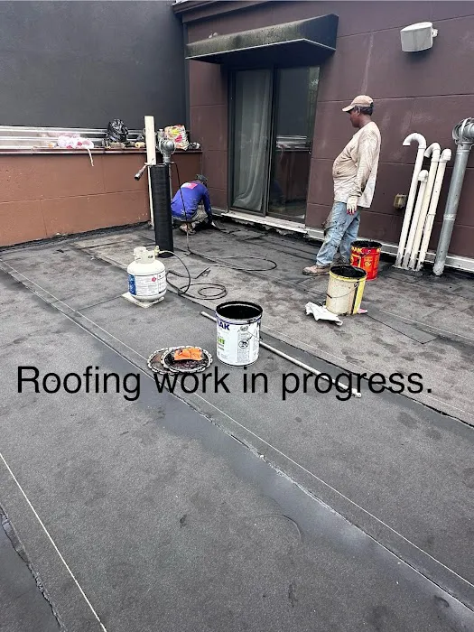 SAS Roofing & Waterproofing Picture 5