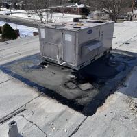 Flat Roof Company ico