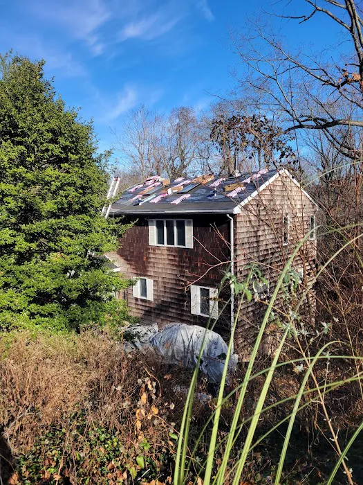 Mighty Dog Roofing of Greater Chadds Ford Picture 3