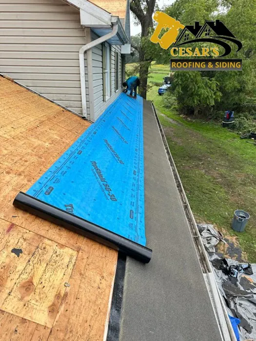 Cesar's roofing Picture 3