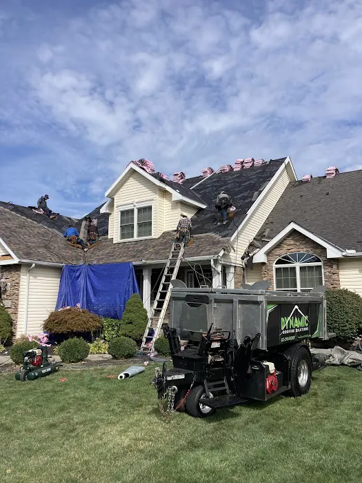Dynamic Roofing Solutions Picture 2