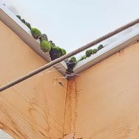 Right-On Roofing Inc ico