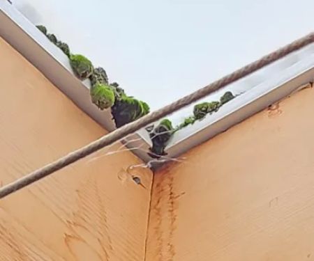 Right-On Roofing Inc