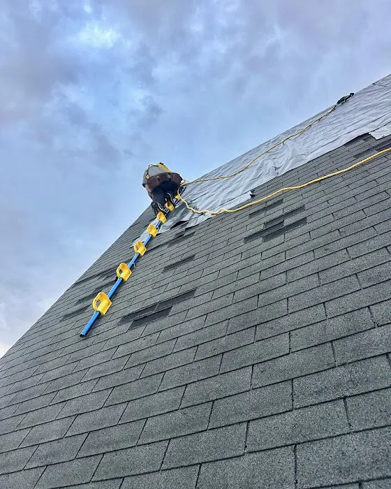 Birds Eye Roofing Picture 6