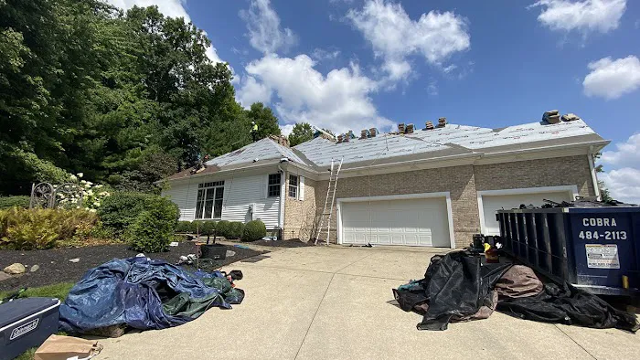 Anthony Roofing Picture 3
