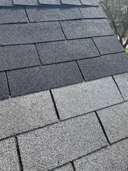 Paint A Roof Picture 6
