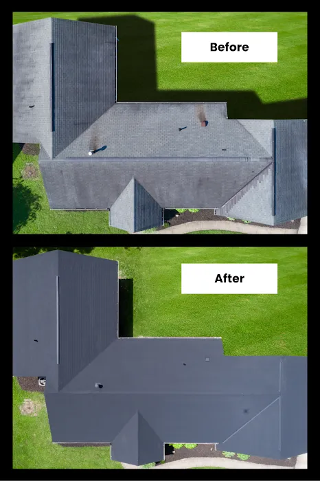 Paint A Roof Picture 8