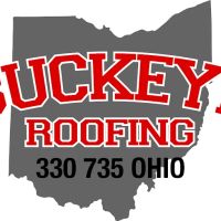 Buckeye Roofing ico