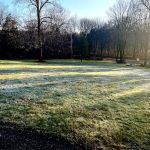 Daley Property Services LLC