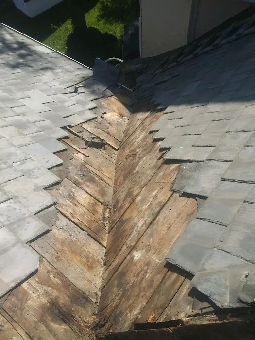 Todd Of All Trades, LLC. Picture 4