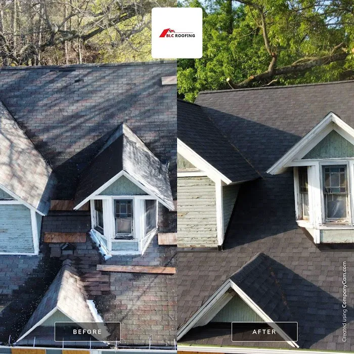 BLC Roofing Picture 4