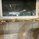 Ace Handyman Services Union County NJ