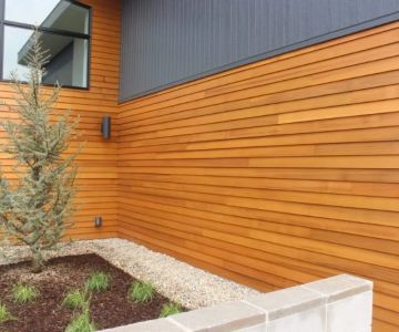 Siding Material Maintenance in Maple Wood, Cedar or Composite: Tips for Long-Lasting Protection