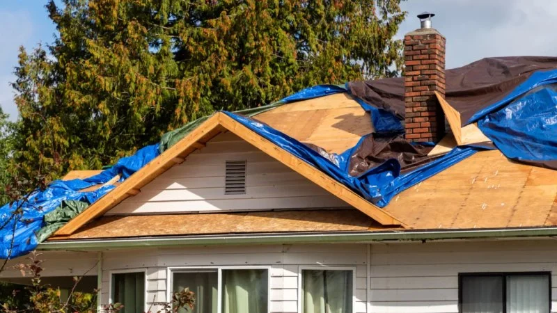 How Roof Decking Condition Affects Overall Roofing Cost