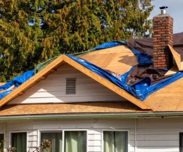 How Roof Decking Condition Affects Overall Roofing Cost