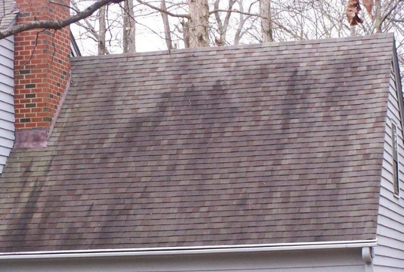 How to Handle Black Streaks on Your Roof or Siding: A Comprehensive Guide