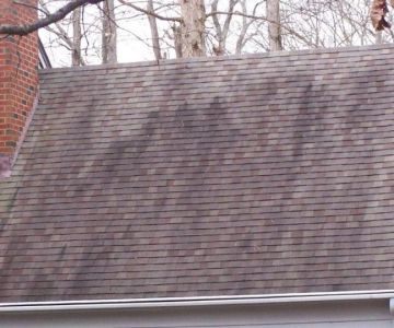 How to Handle Black Streaks on Your Roof or Siding: A Comprehensive Guide