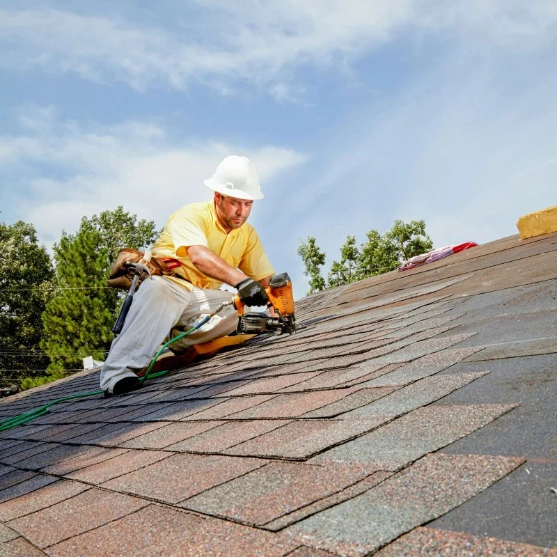 How Roof & Siding Quality Can Reduce Pest Entry and Protect Your Home