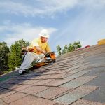 How Roof & Siding Quality Can Reduce Pest Entry and Protect Your Home