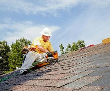 How Roof & Siding Quality Can Reduce Pest Entry and Protect Your Home