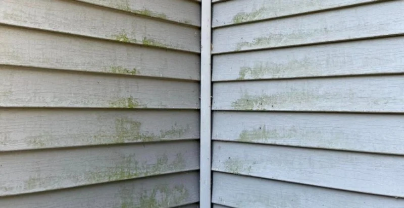 How to Prevent Water Stains on Siding and Exterior Walls: Tips for a Dry Home