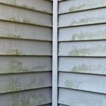 How to Prevent Water Stains on Siding and Exterior Walls: Tips for a Dry Home